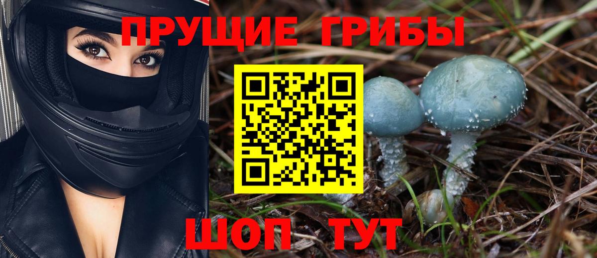 Псилоцибиновые грибы Psilocybine cubensis  закладки  Вход с VPN  Мыски  Псилоцибиновые грибы GOLDEN TEACHER 