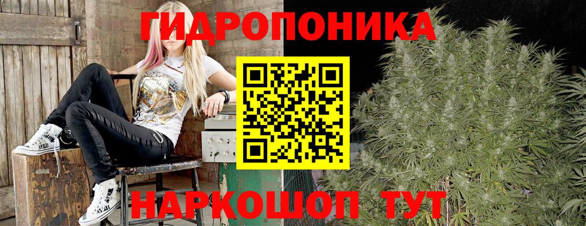 Конопля AK-47 Мыски